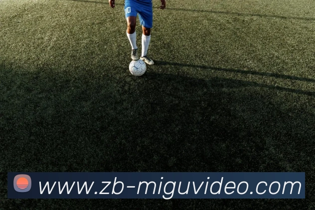 多媒体互动体验